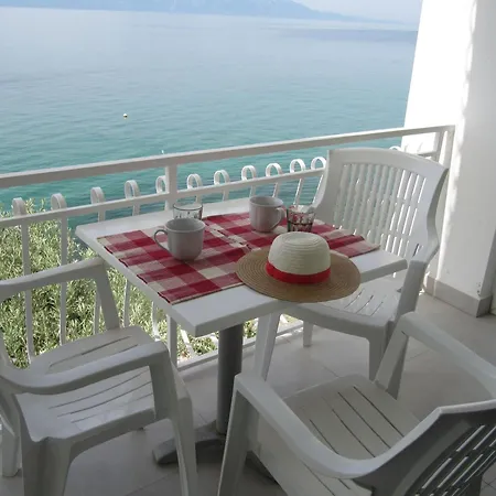 Guest house Falcon Brist