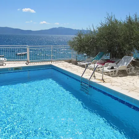 Guest house Falcon 3*