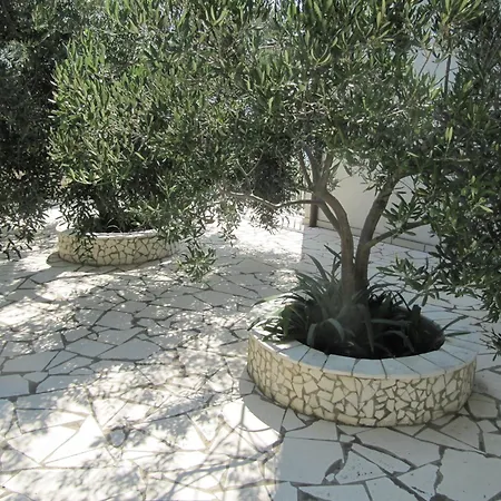 Sokol בית הארחה בריסט