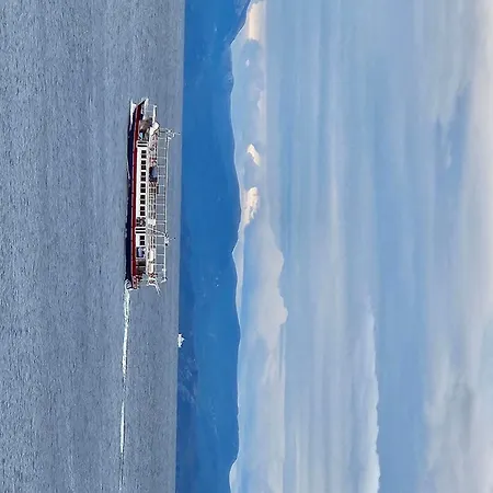 Guest house Falcon Brist