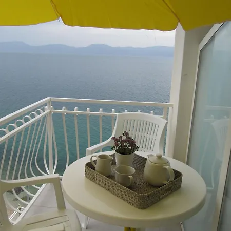 Pensión Falcon Brist