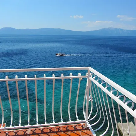 Falcon 게스트하우스 브리스트