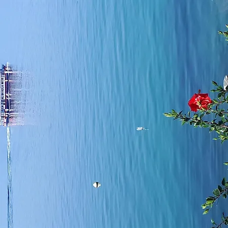 Gostinjska kuća Sokol