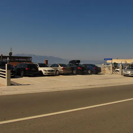 Falcon 게스트하우스 3*