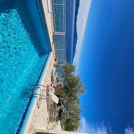 Falcon 게스트하우스 브리스트